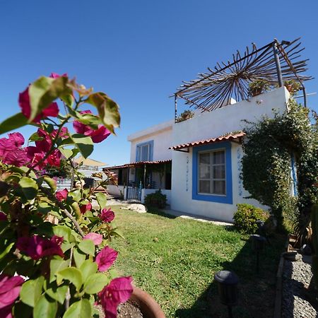 Santerra, Valle De Guadalupe Bagian luar foto