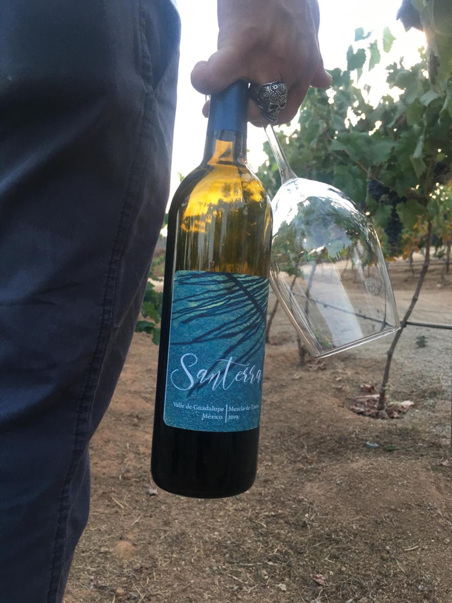 Santerra, Valle De Guadalupe Bagian luar foto