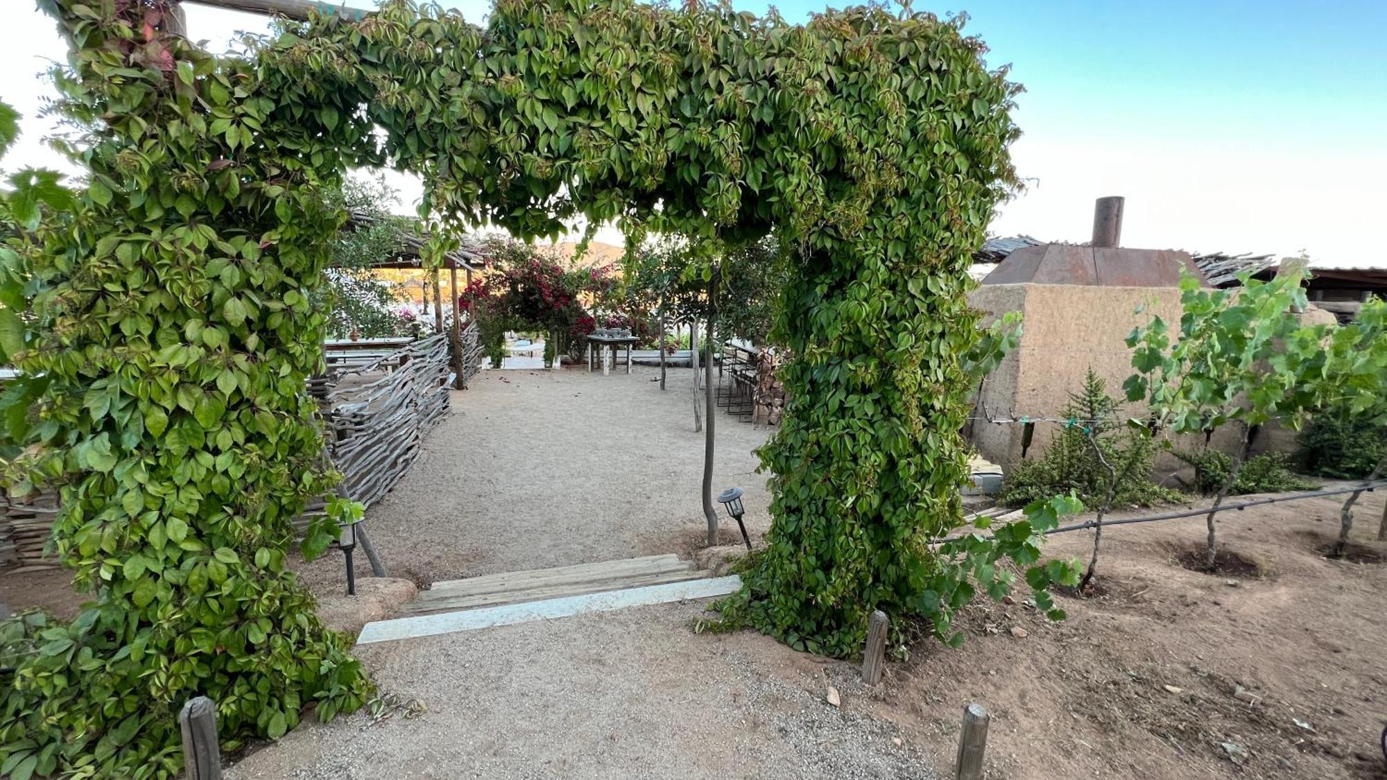 Santerra, Valle De Guadalupe Bagian luar foto