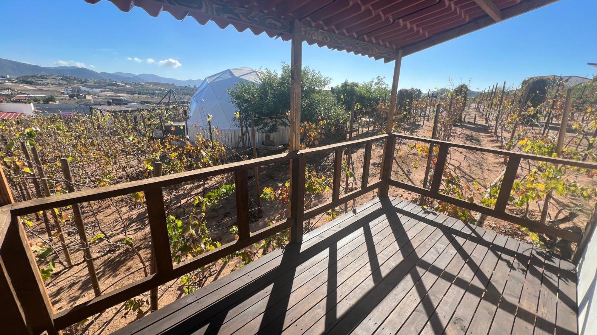 Santerra, Valle De Guadalupe Bagian luar foto