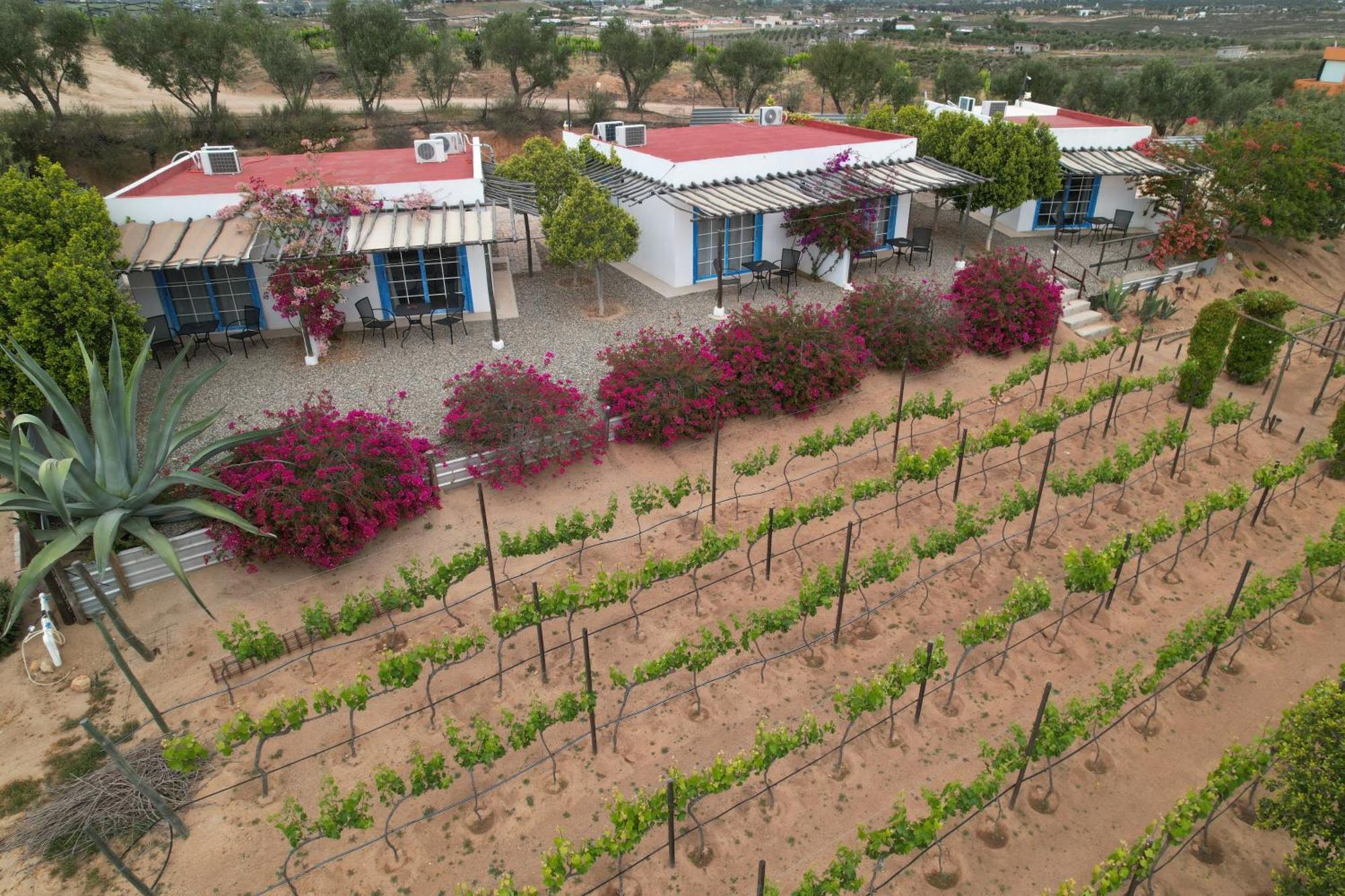 Santerra, Valle De Guadalupe Bagian luar foto